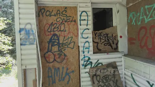 Duża opuszczona posesja - zdjęcie 10/47