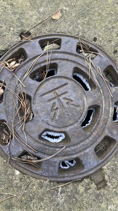 Szkółka roślin ozdobnych - zdjęcie 4/4