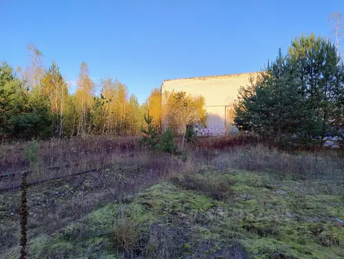 Parowozownia, Olendry - photo 17/54