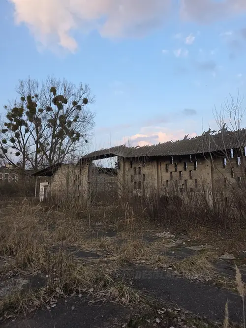 Stodoła SGGW - zdjęcie 7/23