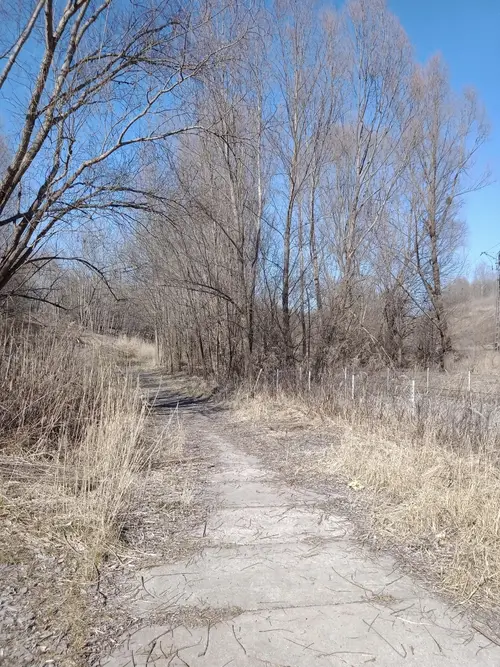 Stary zapomniany teren retencyjny - zdjęcie 2/5