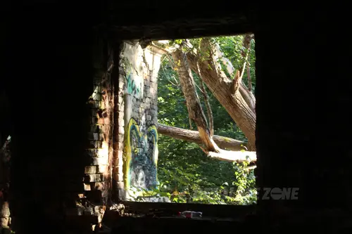 Zakład dla Nerwowo i Psychicznie Chorych Żydów - Zofiówka - zdjęcie 29/425