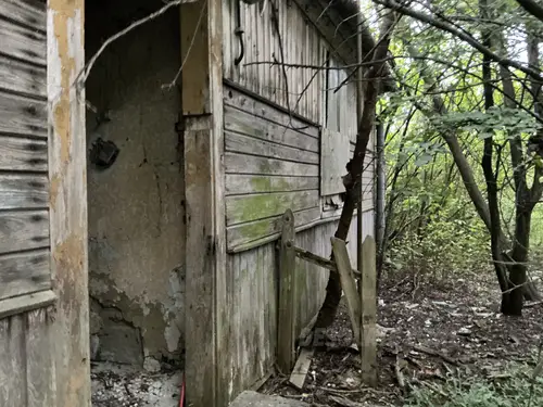 Opuszczone gospodarstwo - zdjęcie 9/10