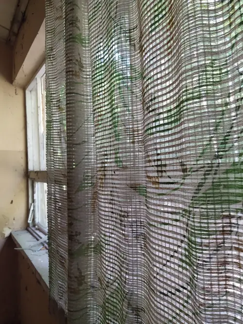 Kolonie w Justynowie, Justynów - photo 11/71