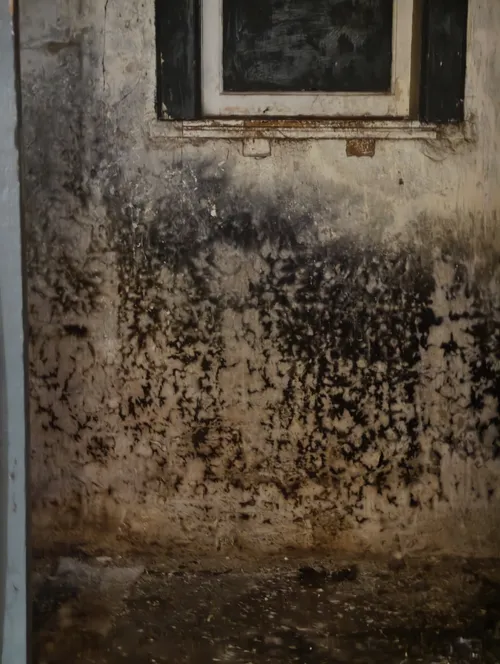 Związek żeglarski - zdjęcie 3/11