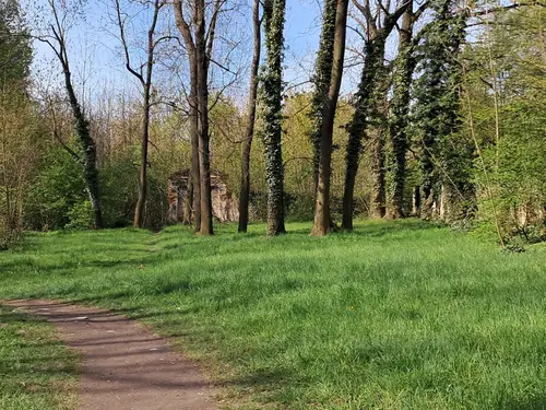 Ruiny kościoła św. Jana Ewangelisty - zdjęcie 2/7