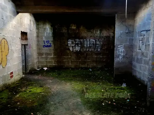Galeria Sztuki - photo 3/39