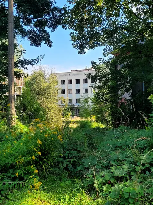 objekt psychiatryczny - zdjęcie 8/10