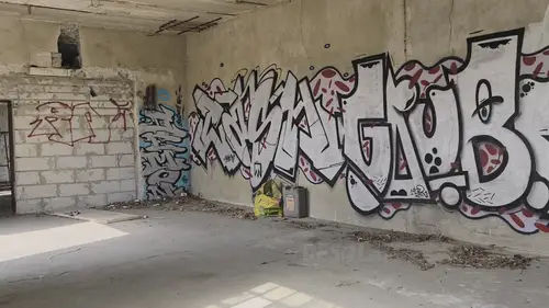 Opuszczony niedokończony dom z halą., Rzgów - photo 15/23