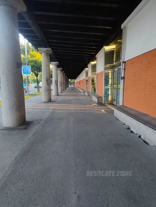 Opuszczony stadion - zdjęcie 5/16