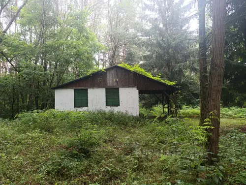 Opuszczone domki letniskowe - zdjęcie 16/16