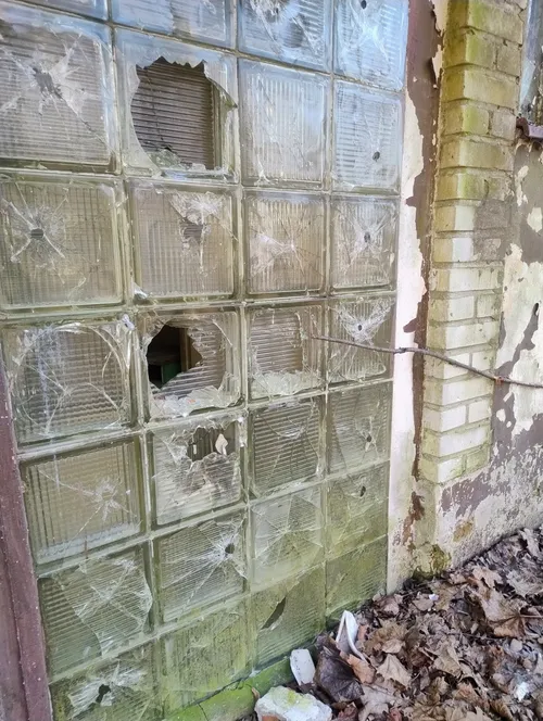 Kolonie w Justynowie, Justynów - zdjęcie 3/55