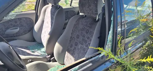 Wrośnięte auto - photo 3/3