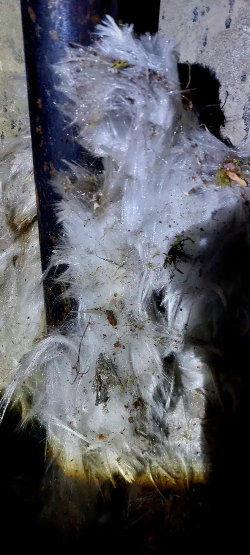 Dawny Zakład Produkcji Specjalnej / Podziemna Fabryka