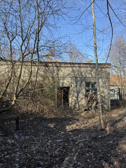 Opuszczony dom - zdjęcie 9/9