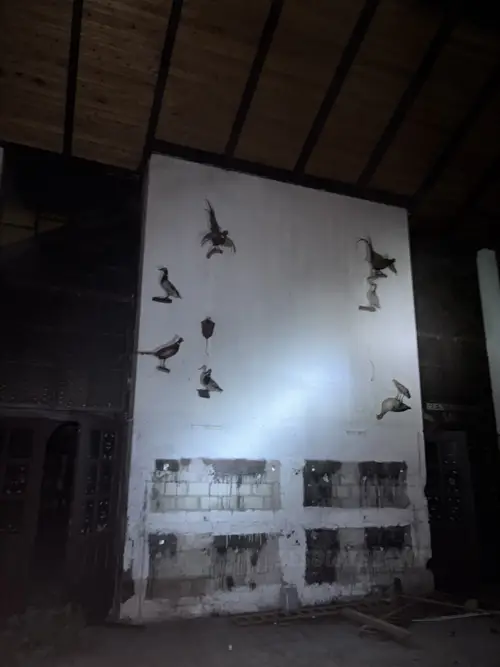 Zajazd Eden - Janki - photo 5/15