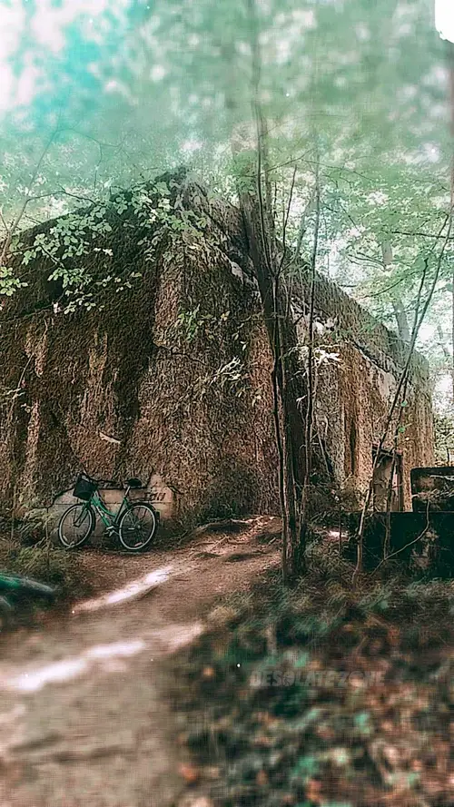 Hochwald - BUNKRY niemieckie, Pozezdrze - zdjęcie 6/10