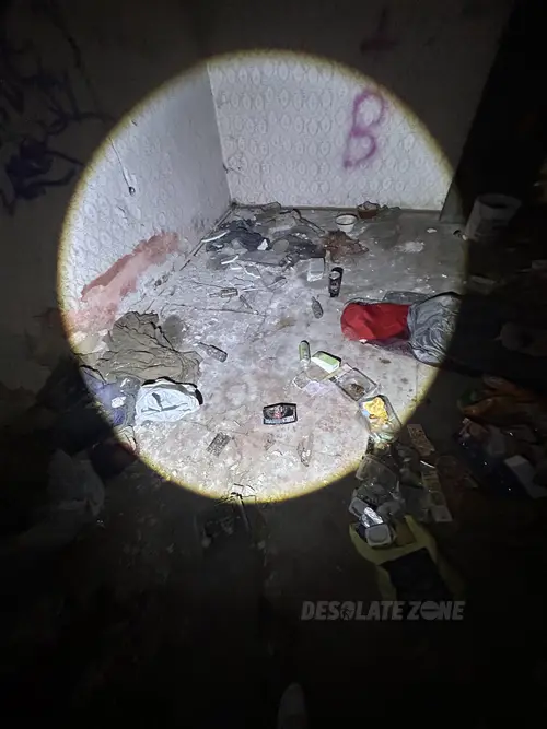 Dom obok warsztatu samochodowego - zdjęcie 3/9