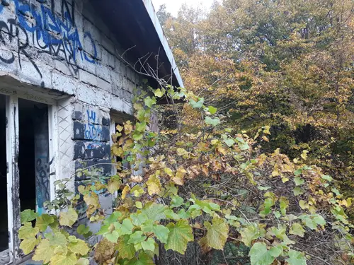 Opuszczony dom i stodoła - photo 2/4