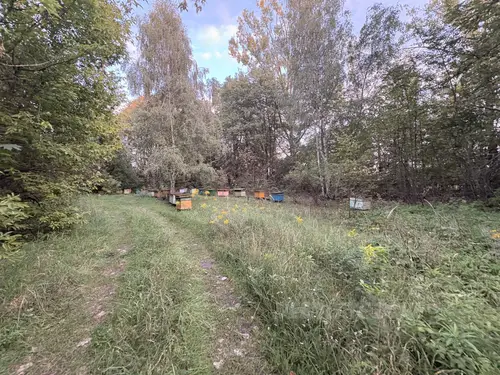 Opuszczony PGR - zdjęcie 38/43