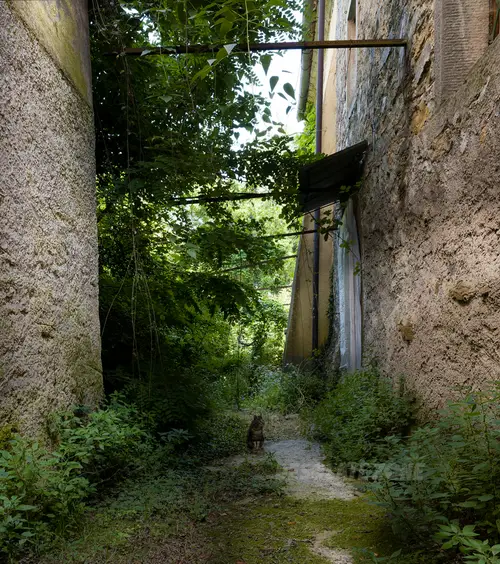 Abandoned village - zdjęcie 15/16