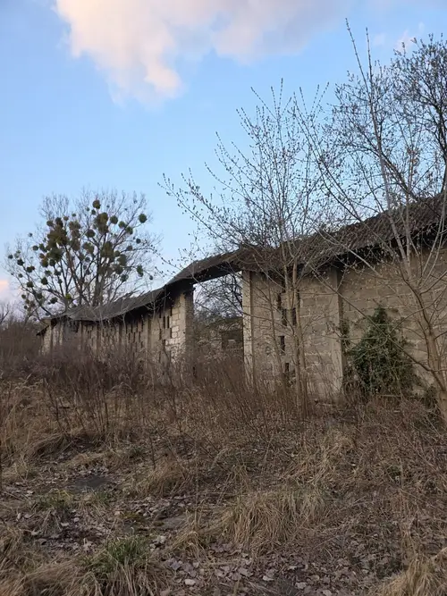 Stodoła SGGW - zdjęcie 8/23