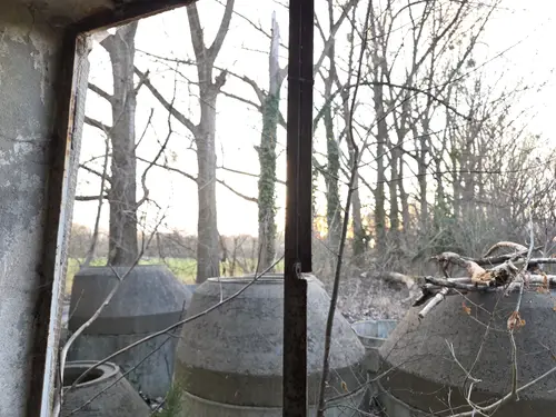 Stodoła SGGW - zdjęcie 14/23