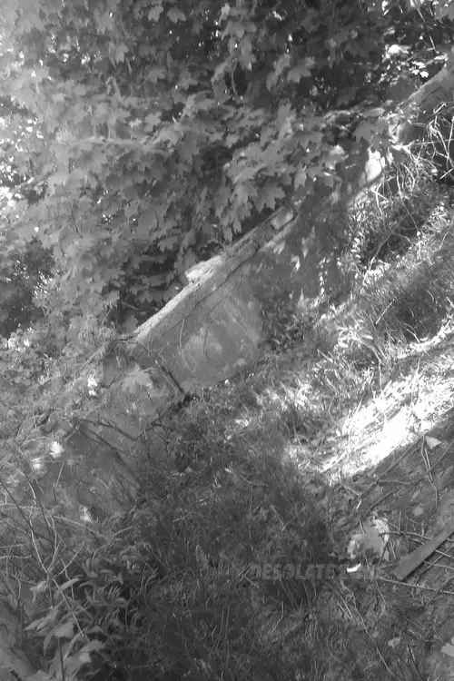 Tor wyścigów konnych, Łódź - photo 12/197