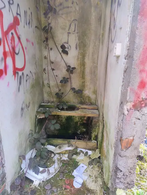 Spalone gospodarstwo w Łodzi - zdjęcie 4/7