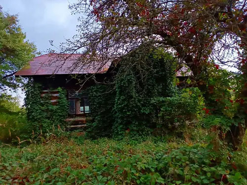 Dom z filmu "dom zły"