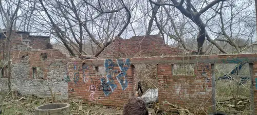 Ruiny kilku domów w lasku - photo 4/6