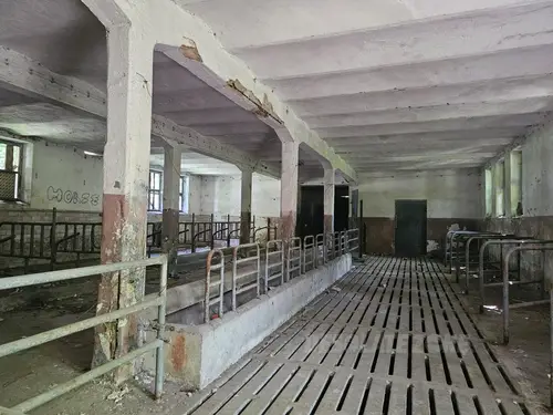 INSTYTUT HODOWLI BYDŁA, BRWINÓW - zdjęcie 7/48
