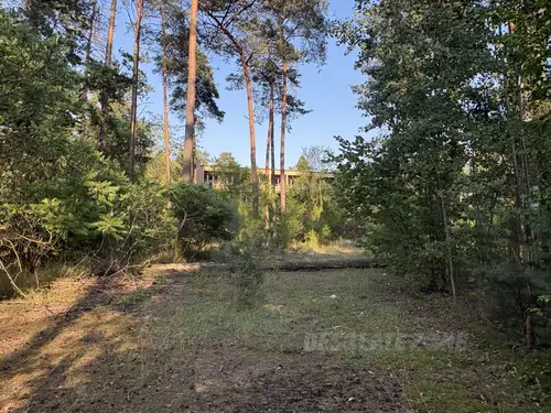 Opuszczony ośrodek "Villa Rosa" - zdjęcie 28/40