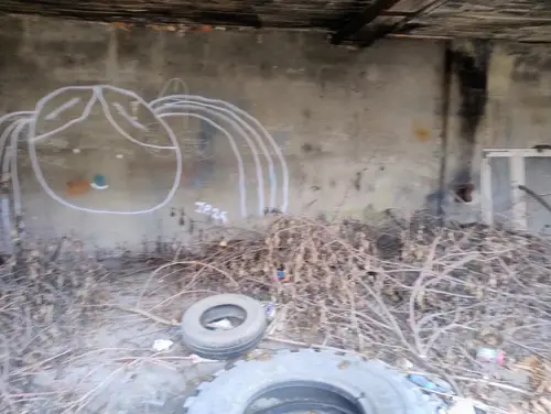 Dwa budynki gospodarstwa - zdjęcie 6/9