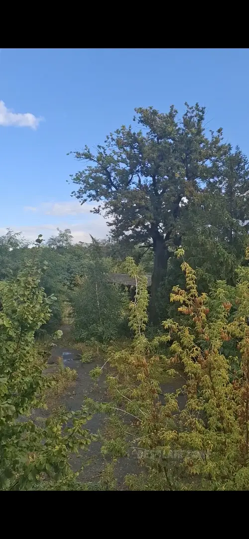 Winiarnia - zdjęcie 19/60