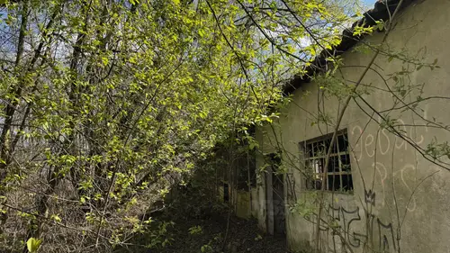 Brama pałacowa z piekarnią i stajnią - zdjęcie 4/31