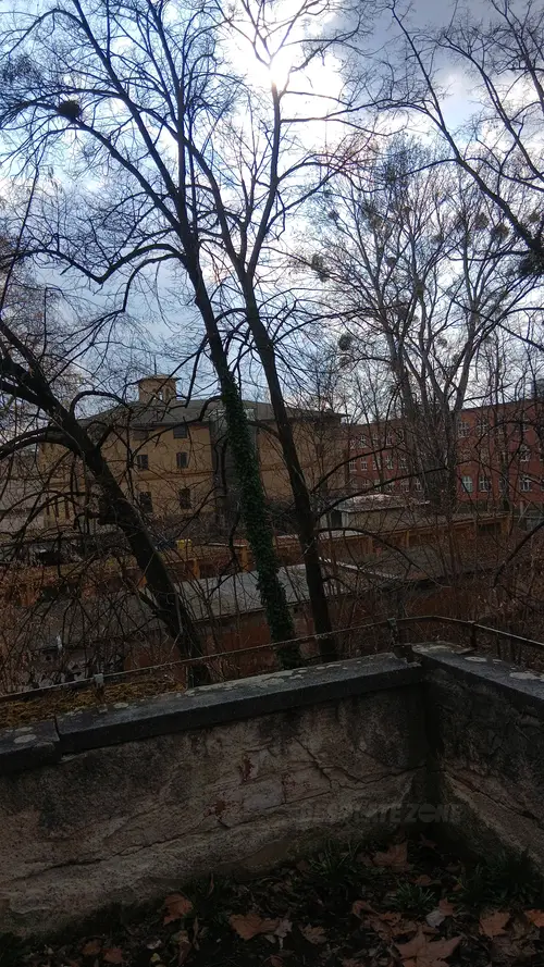 Opuszczona willa - photo 2/7