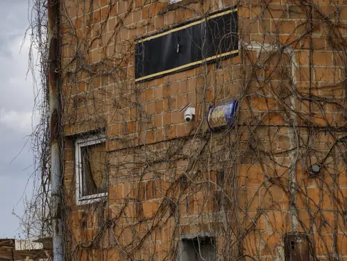 Ani-pol Pabianice - zdjęcie 2/85