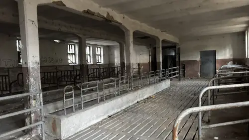 INSTYTUT HODOWLI BYDŁA, BRWINÓW - zdjęcie 4/31