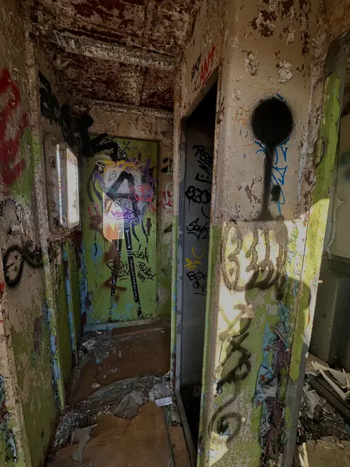 Pchacz łoś-k17 - zdjęcie 2/6