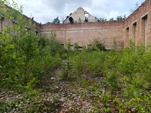 Dom Oficera, Borne Sulinowo - zdjęcie 7/51