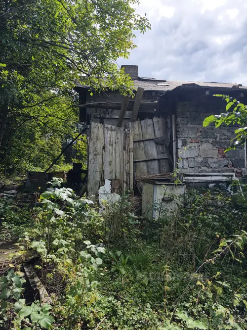 Opuszczony dom na skraju lasu - zdjęcie 45/59