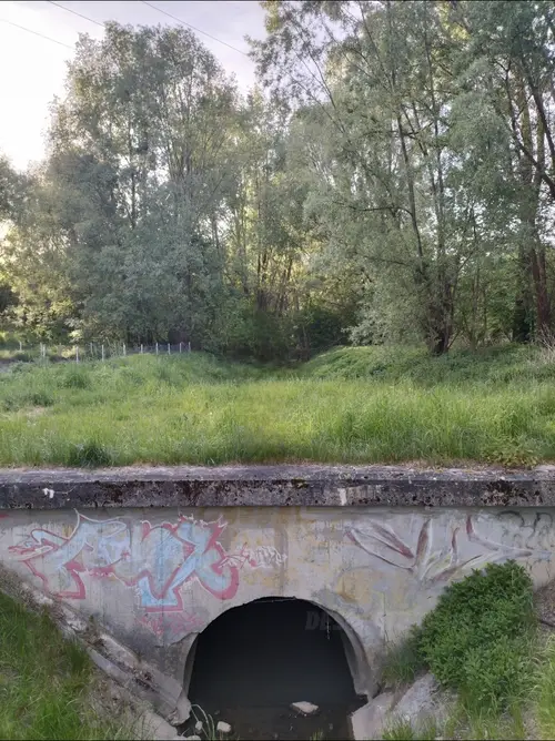 Stary zapomniany teren retencyjny - zdjęcie 3/5