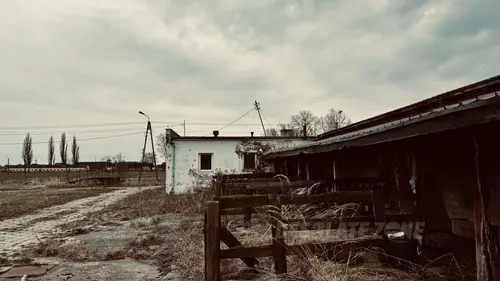 Gospodarstwo - zdjęcie 20/26