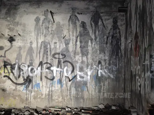 Zakład dla Nerwowo i Psychicznie Chorych Żydów - Zofiówka - zdjęcie 6/425