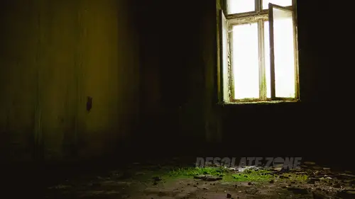 Pałac rodziny von Tiele-Winckler - photo 32/55