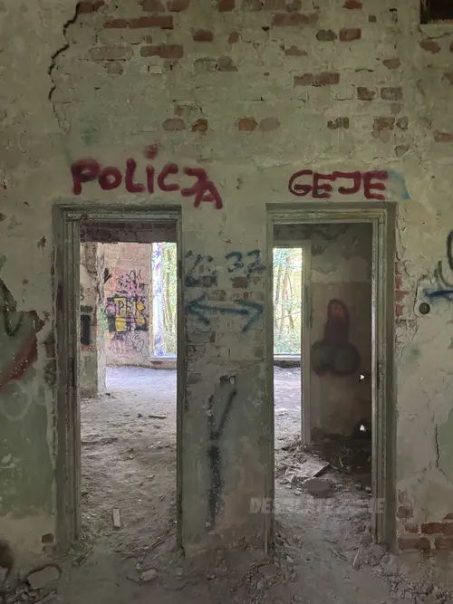 Zakład dla Nerwowo i Psychicznie Chorych Żydów - Zofiówka - photo 14/360