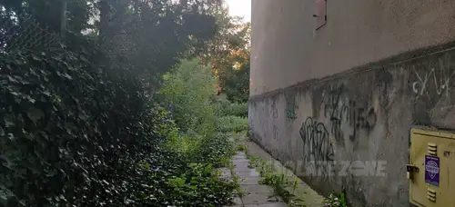 Opuszczona kamienica - zdjęcie 2/3