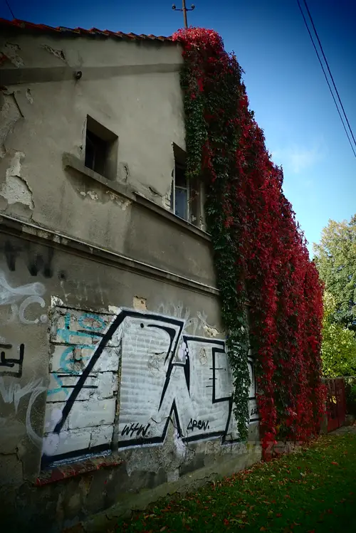 Opuszczony dom