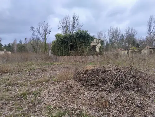 Opuszczone hale i piwnice - zdjęcie 11/12